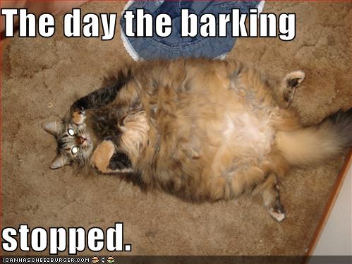 funny-pictures-cat-ate-dog-barking-stopped.jpg